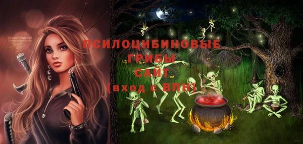 эйфоретик Балахна