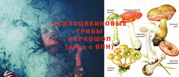 эйфоретик Балахна